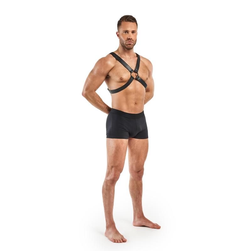 Bedroom Fantasies Lionel Bondage Harness Black