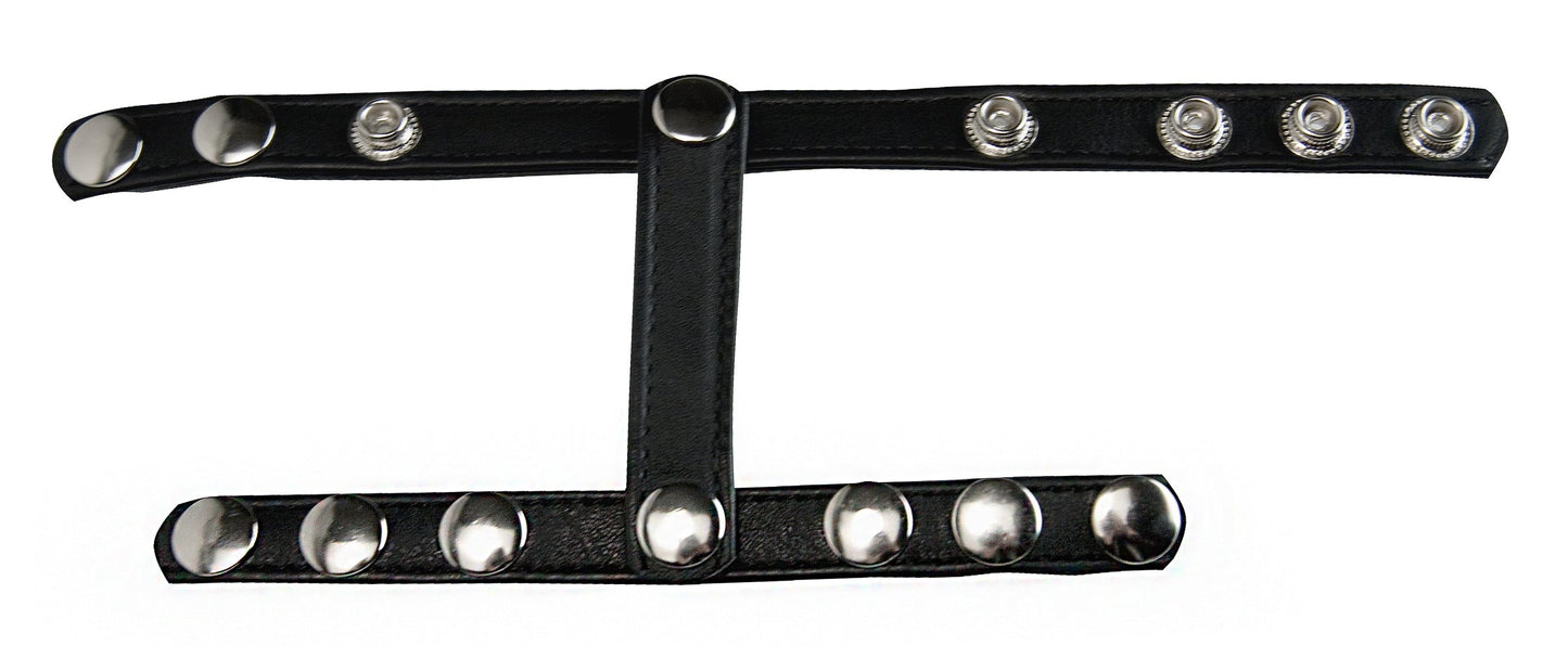 Strict Snap On Cock And Ball Harness